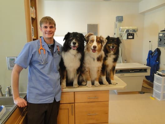 Dr. Tim Ruggles in an exam room with three dogs on the table