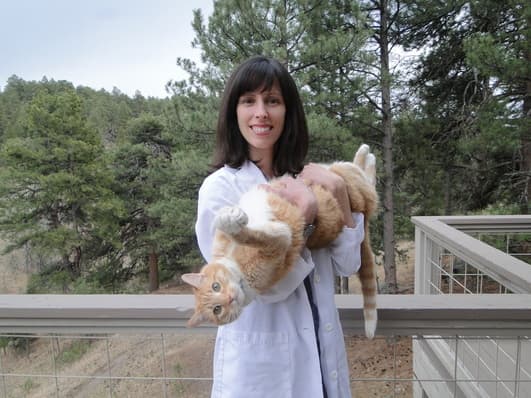 Dr. Allison Achee holding an orange and white cat on a deck in the pines