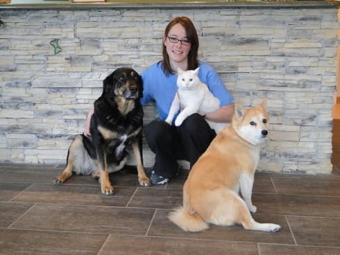 Robin with her pets Rugby, Zen and Roxie: two dogs and a white cat